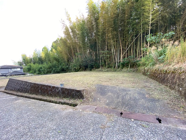 L-107 大口大島 売地